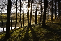 ladybower_Res_55