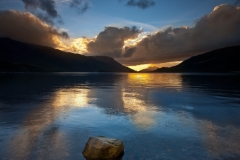Glencoe-Gold