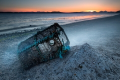 Lobster-Pot-1