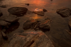 Mossyard-Sunset-Portrait-WEB