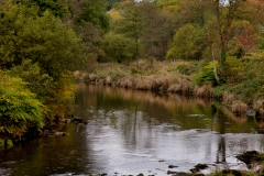 Water-of-Fleet