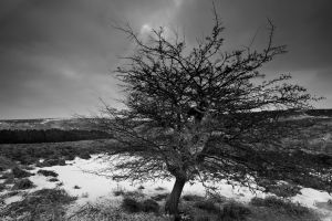 Carl-Wark-BW4.jpg