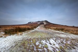 Higger-Winter-Wark.jpg