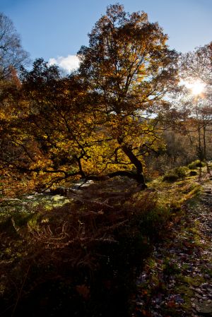 Autumn at Black Clough