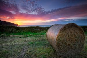 Hay Bales Sunset and Sea