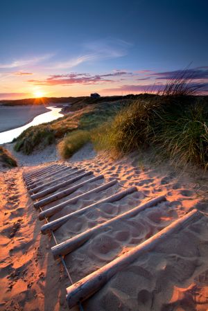 Golden Footsteps