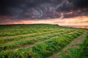 Pastures New