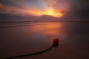 Sunset Buoy Rays