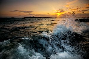 Splash