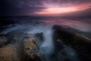 Sea Mist