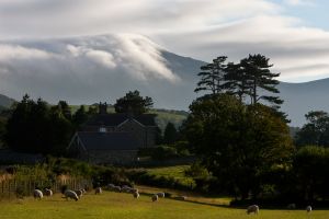 Welsh View