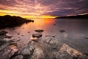 Last Light