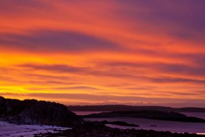Mossyard Dawn