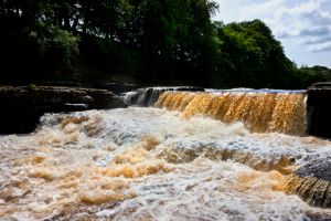 Aysgarth Full Force