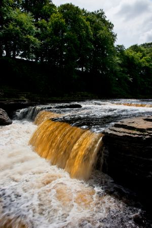 Aysgarth Golden Falls