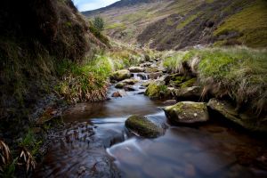 Edale-Silk-WEB.jpg