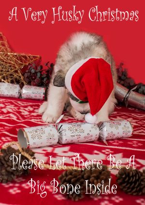 Husky-Christmas-Card-3.jpg