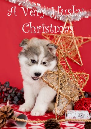 Husky-Christmas-Card-6.jpg