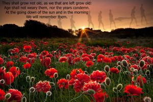 Rememberance-Poppies.jpg