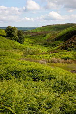 Langsett - A Sunday Afternoon Walk