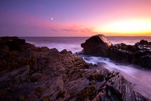 Mossyard Sunset 'n' Moon